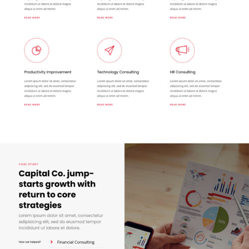 Business Consultancy Firm