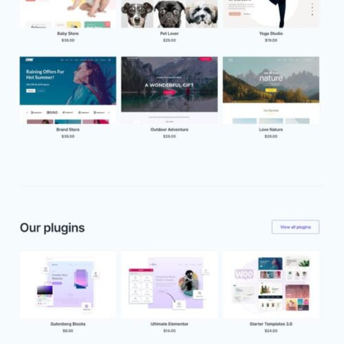 Digital Download Store