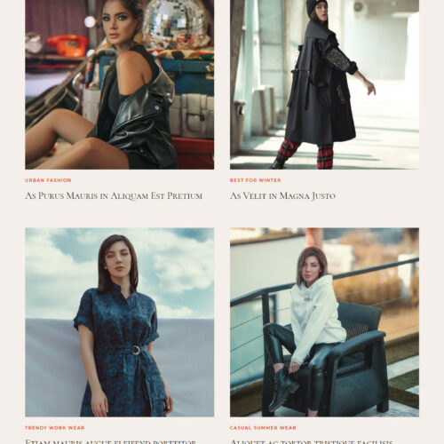 Fashion Influencer