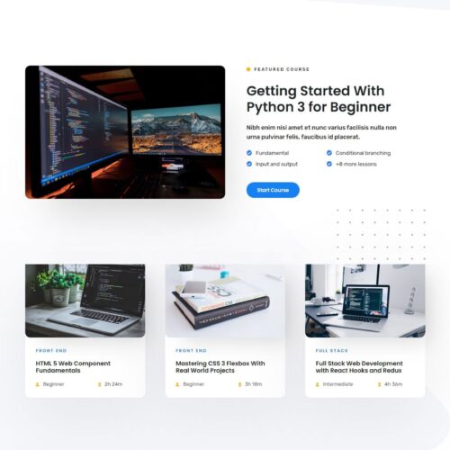 Online Programming Course