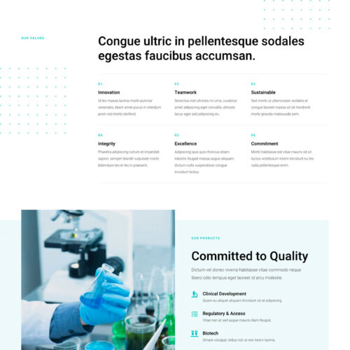 Pharmaceutical Company