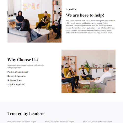 Professional Services