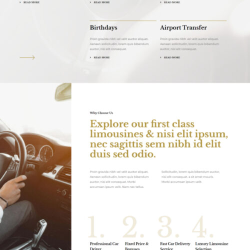 Limousine Rental Agency